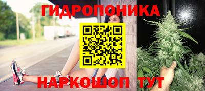 ECSTASY Гатчина