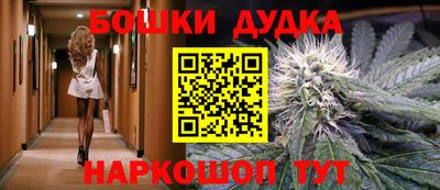 ECSTASY Гатчина