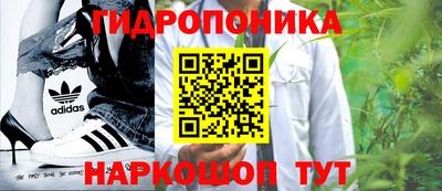 ГАЛЛЮЦИНОГЕННЫЕ ГРИБЫ Гай