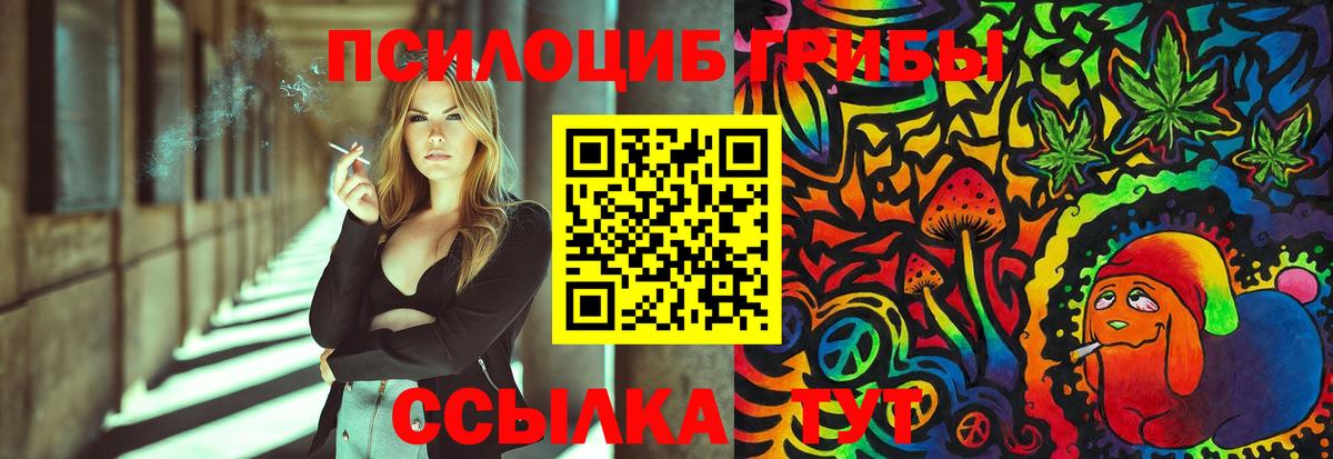 Псилоцибиновые грибы Psilocybe Вышний Волочёк